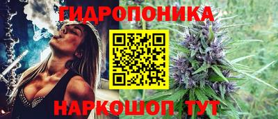 гидропоника Азнакаево