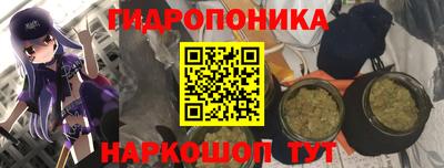 сатива Абакан