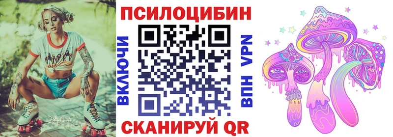 Псилоцибиновые грибы Cubensis  где найти   Апшеронск 