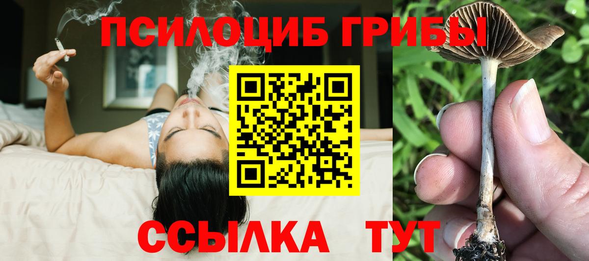 Псилоцибиновые грибы GOLDEN TEACHER Апшеронск