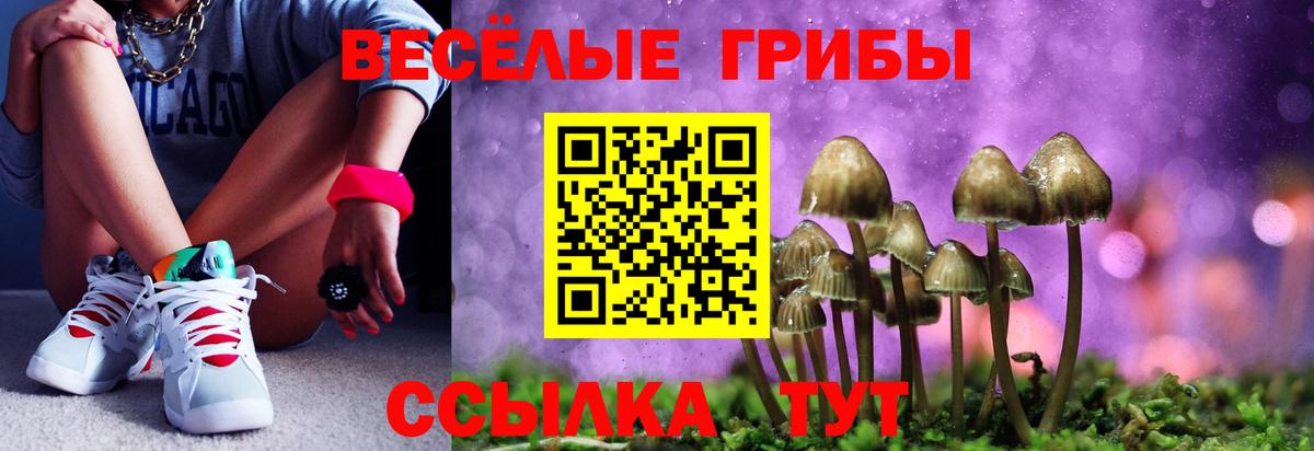 Апшеронск  Галлюциногенные грибы GOLDEN TEACHER  Вход с VPN 