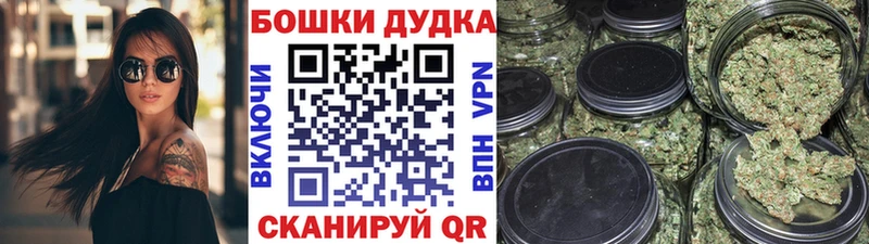 Конопля семена  купить  цена  Апшеронск 